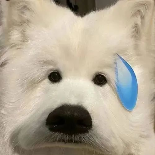 DƬ